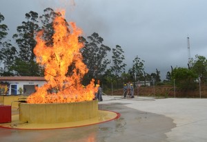 Treinamento de Brigadistas para Combate a Incêndio no Parque dos Carmargos - Serviço de Treinamento de Brigada de Incêndio