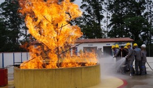 Treinamentos de Brigada de Incêndio Aldeia da Serra - - Treinamento de Brigadistas para Combate a Incêndio
