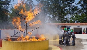 Treinamentos de Brigadas de Incêndio em Sumaré - Treinamento de Brigada de Incêndio em SP